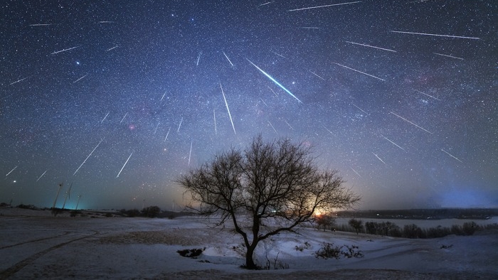 Träd mot natthimmel och meteorsvärmen Geminiderna