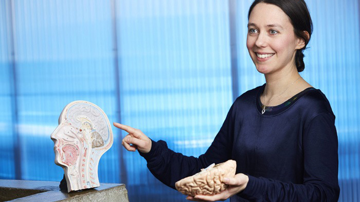 Glad kvinna pekar på en modell av ett huvud i genomskärning, och har en hjärnhalva av plast i den andra handen.