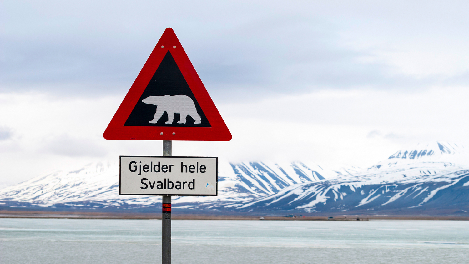 Varningsskylt för isbjörn i ett isig landskap på Svalbard.