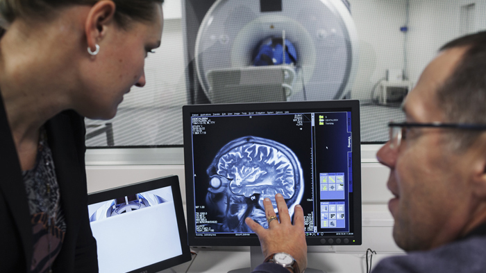 Två forskare tittar på en bildskärm med en hjärna i genomskärning.