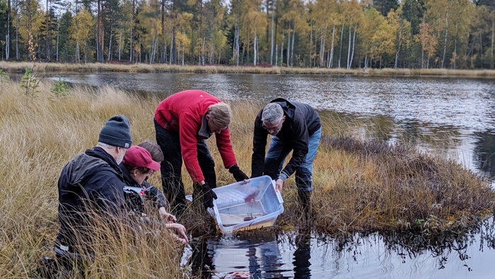 Fem personer släpper ut fisk i en sjö från en plastlåda