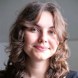Krönikör testbild